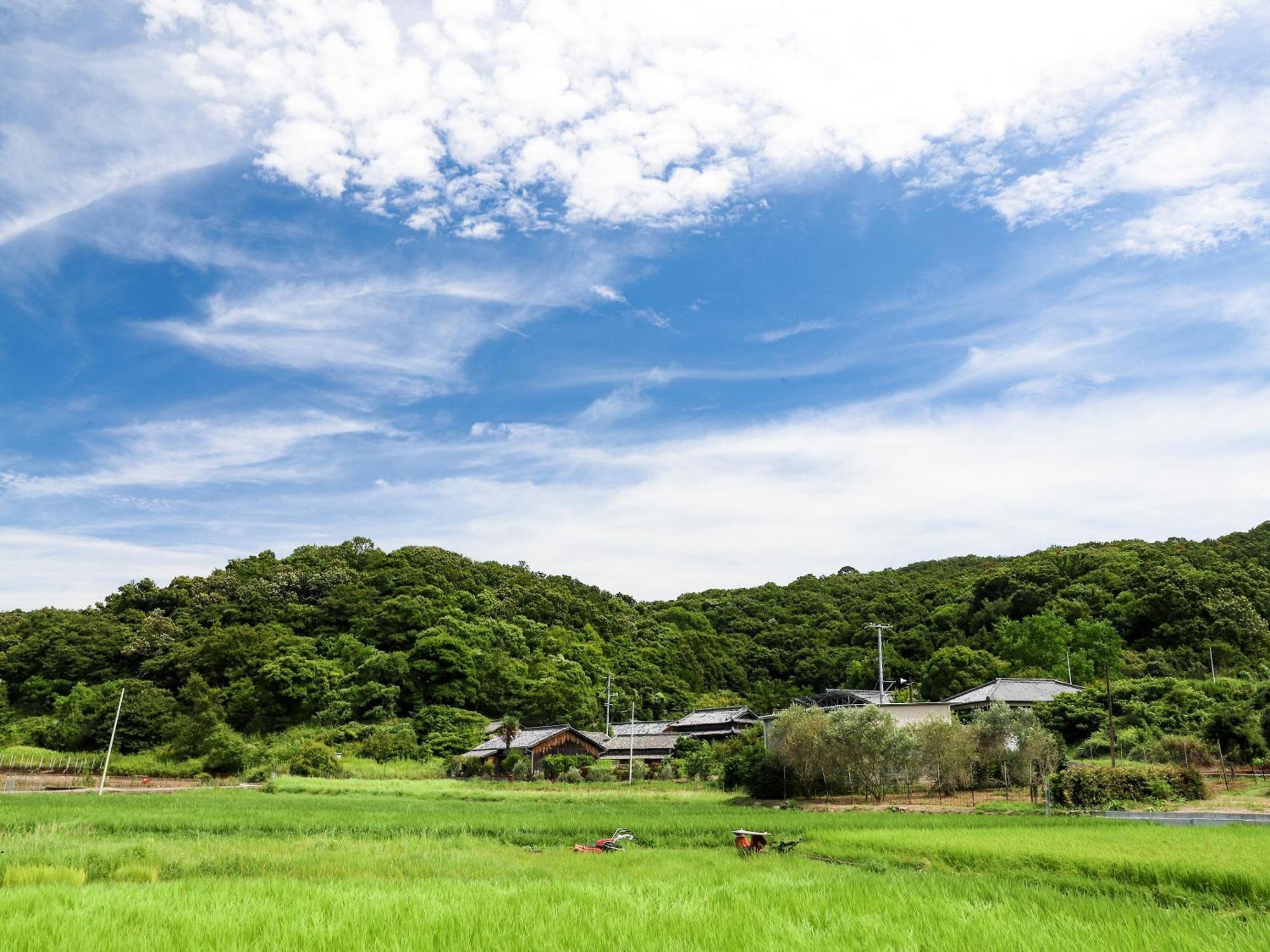 オリーブ農家の家 お泊り忠左衛門 吉野 Villa Shōdoshima Eksteriør billede
